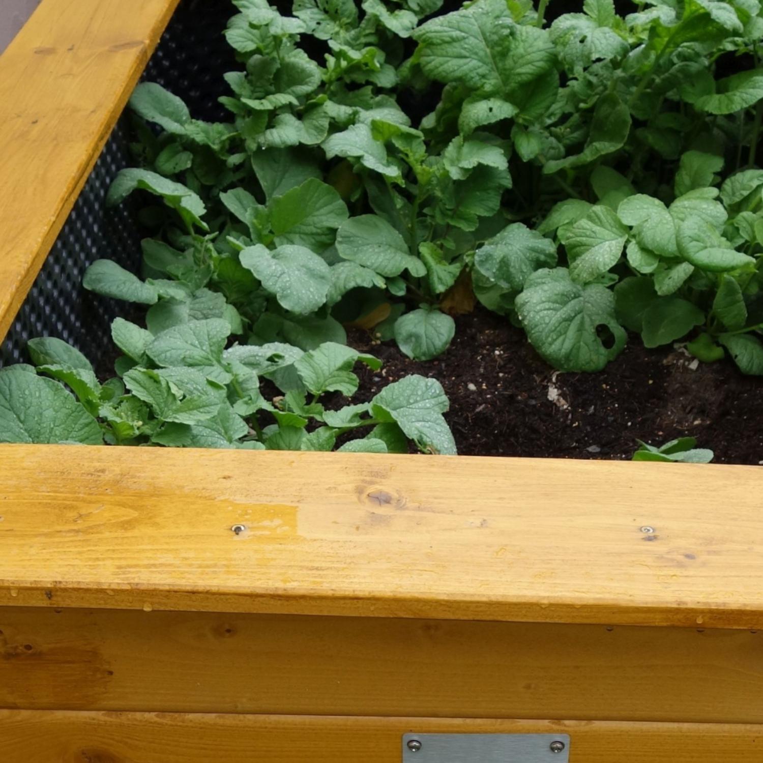 Hochbeet