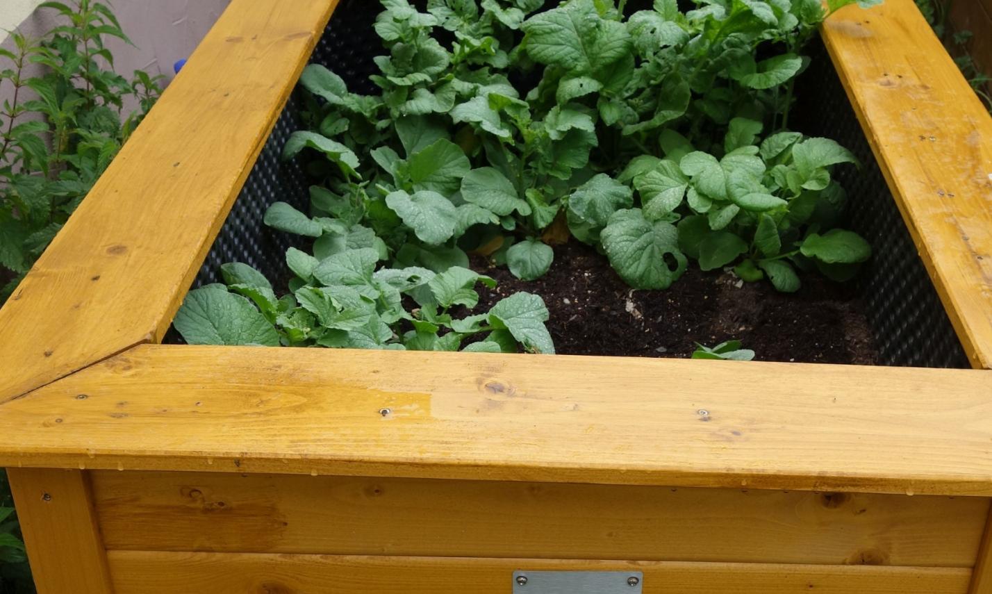 Hochbeet