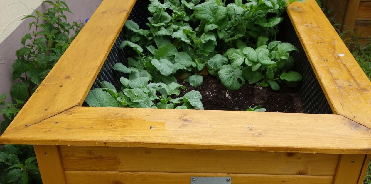 Hochbeet
