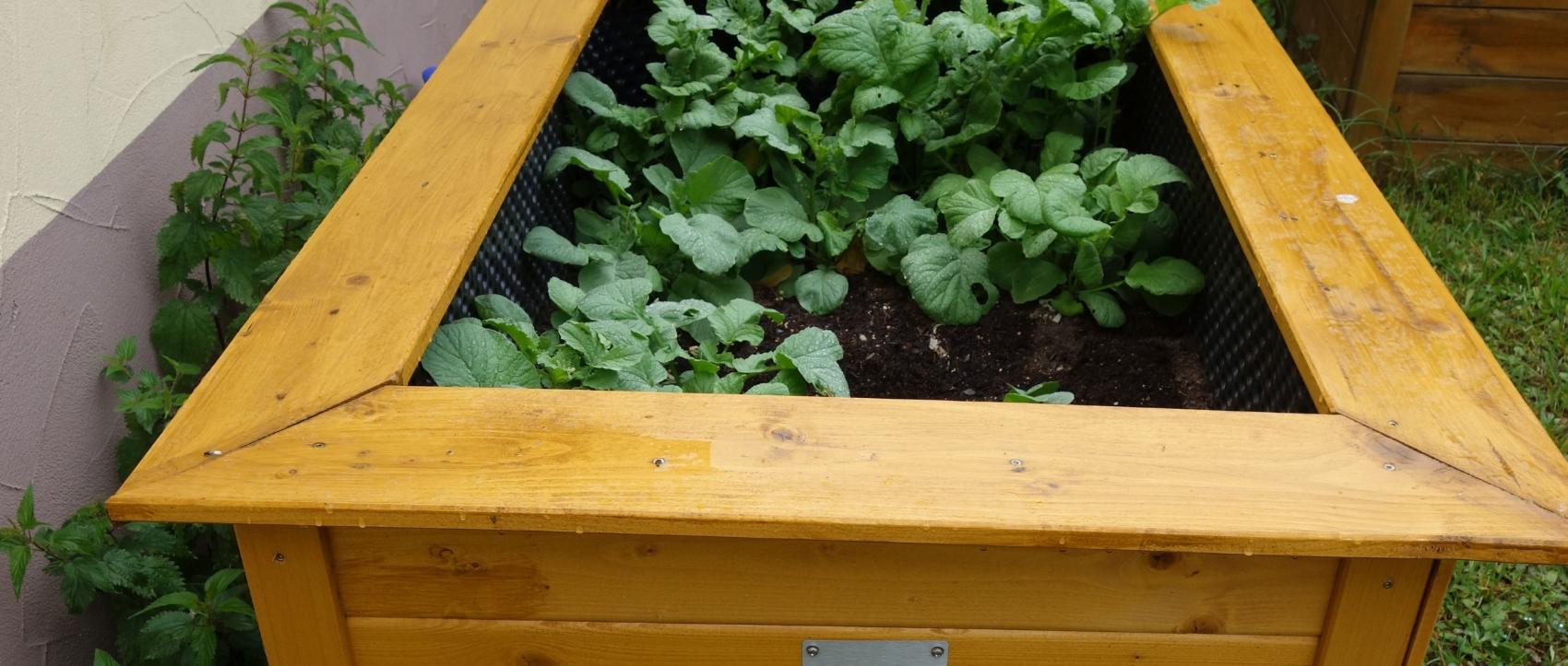 Hochbeet