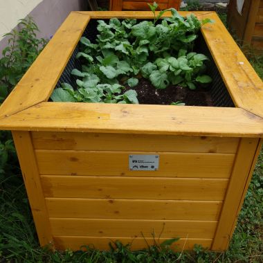 Hochbeet