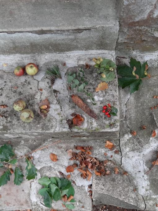 Kunstwerke aus dem Herbstwald