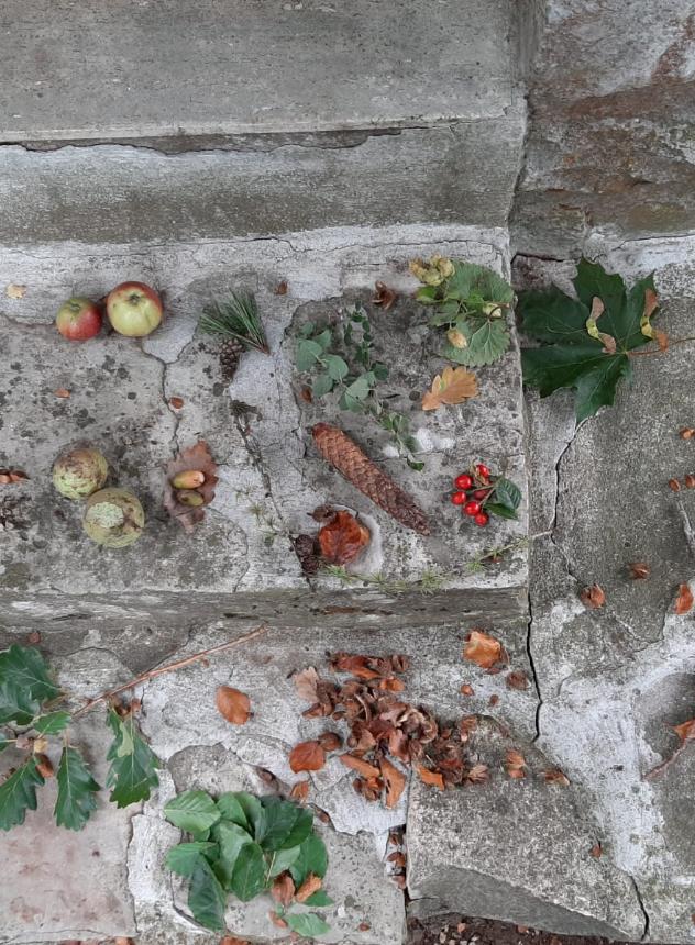 Kunstwerke aus dem Herbstwald