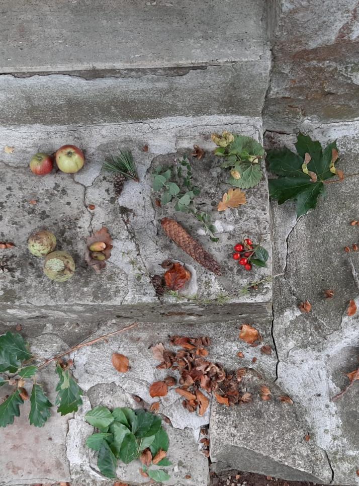 Kunstwerke aus dem Herbstwald