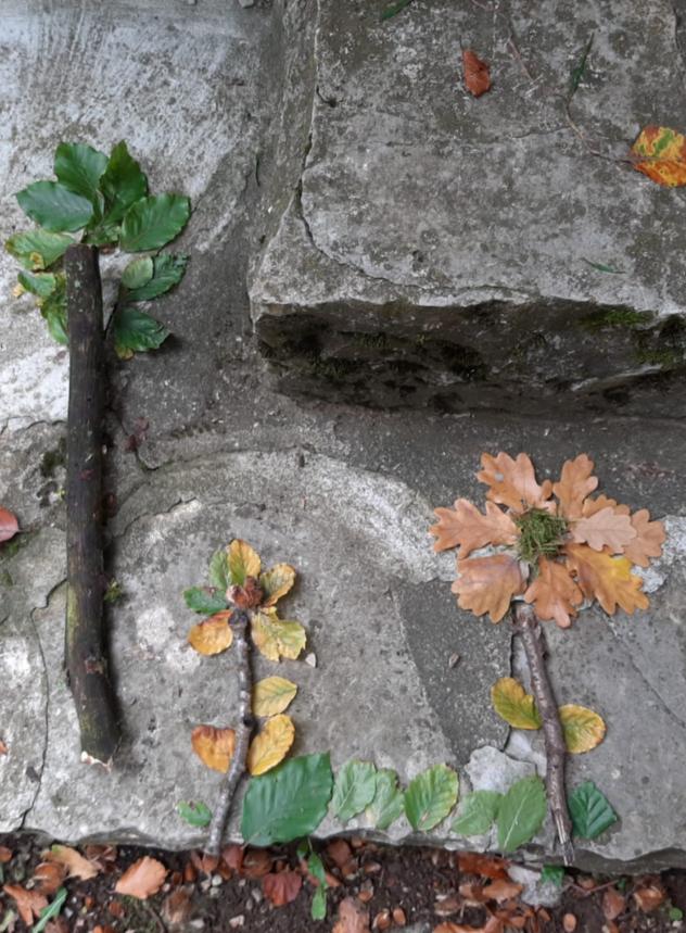 Kunstwerke aus dem Herbstwald - Blume