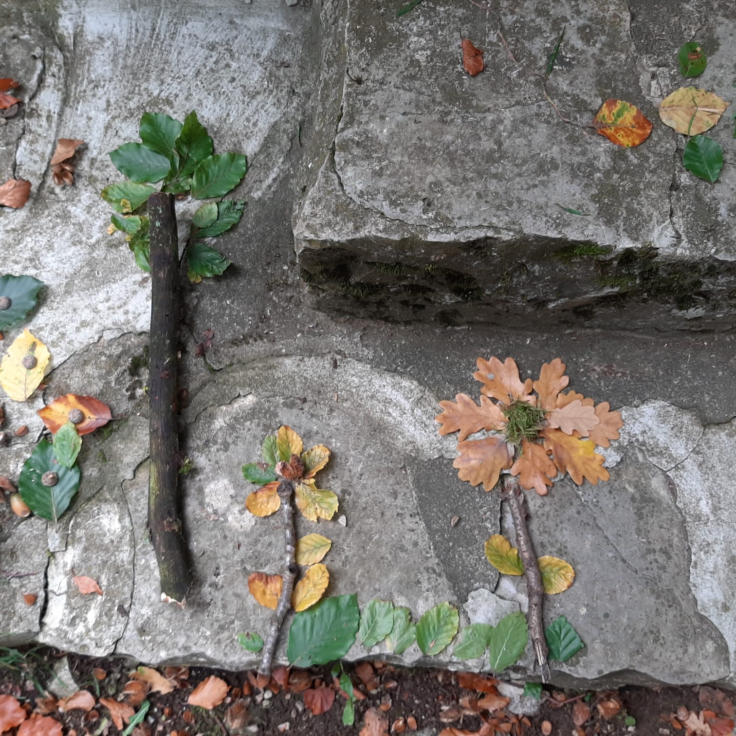 Kunstwerke aus dem Herbstwald - Blume